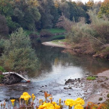 內卡小館 Neckar Bistro