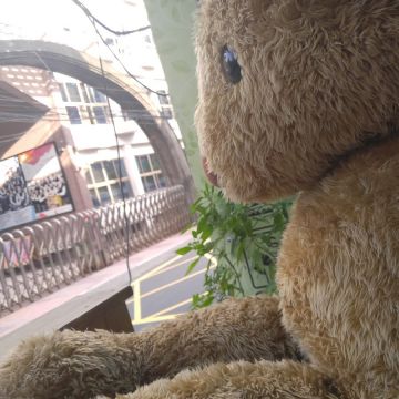 小熊森林健康早午餐