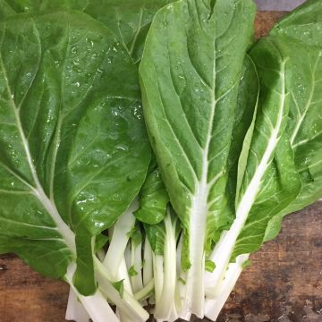 鍋神日式涮涮鍋（泰山店）