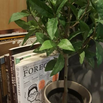 嗜黑咖啡 Swing Black Coffee