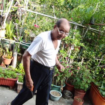 盆栽冰淇淋（台東店）