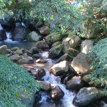 淺沐道休閒農場