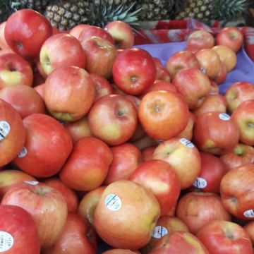 太平洋海鮮餐廳