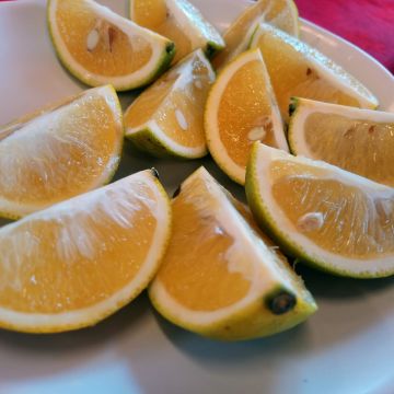 海口味海景餐廳