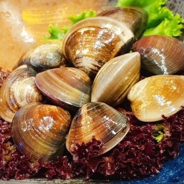 椰蘶椰子雞鍋物