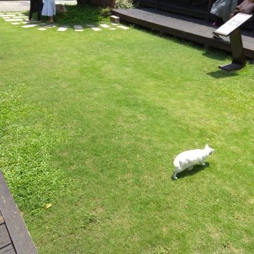 蕭如松藝術園區