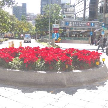 布魯克海鮮吧 BROOKHURST