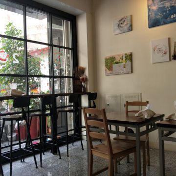 吃義碗麵 CatPasta