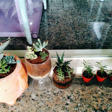 Mezzo中歐式小廚