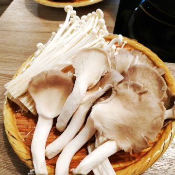 菇殿養生鍋物 mushroomhotpot