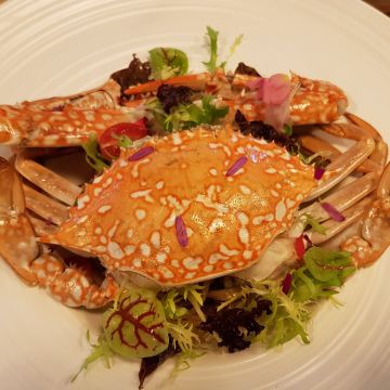 古司豆創藝料理 Gusto