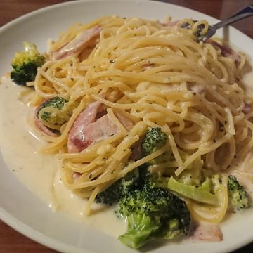 海豚遇見貓無國界料理