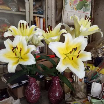 松屋日式料理（三重店）