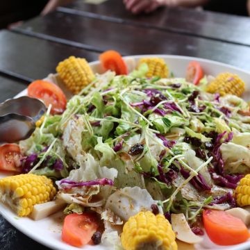 薪石窯柴燒窯烤