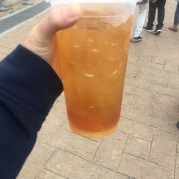 甘記 阿里山野生愛玉