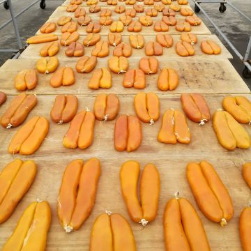 海中寶食品公司