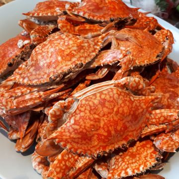 桂田酒店-阿力海百匯自助餐聽