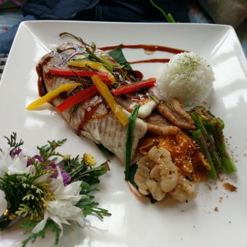 紅薔薇景觀花園