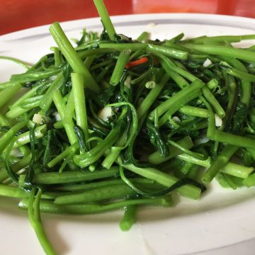 月新土雞城 Cleo Chen