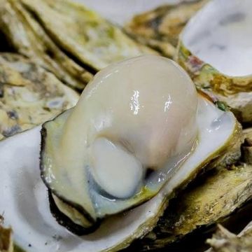 青蚵嫂龍富店 海鮮熱炒99元/平價海鮮燒烤/烤鮮蚵3斤200元