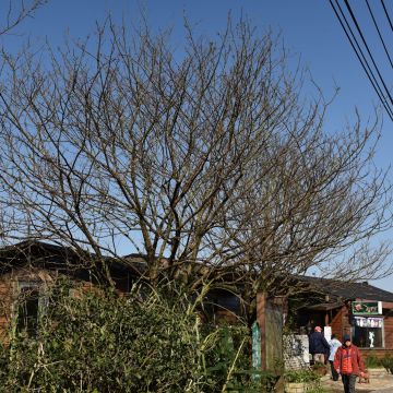 青山香草教育農園