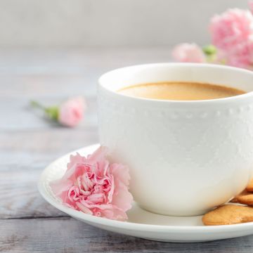 Santorafa 使徒咖啡 中正金門店