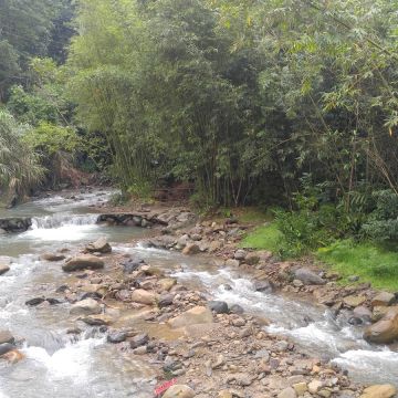 珍園螢火蟲花園