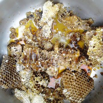 丹林玉珠土雞城