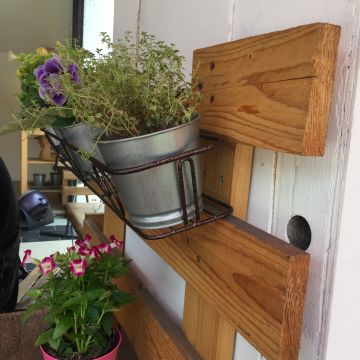 竹女早安 Finding Annie