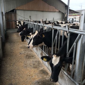 岡聯牧場牛奶屋