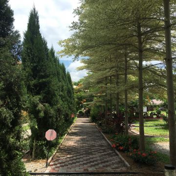 魔菇部落生態休閒農場