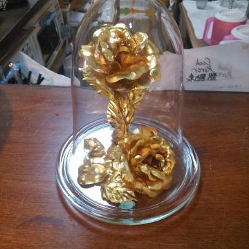 庫克河 Cook River