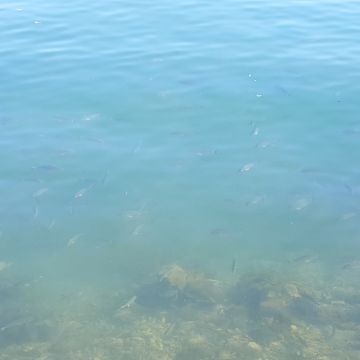 Woolloomooloo（萬華店）