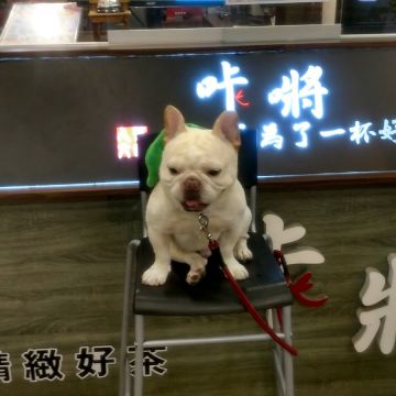 茶水印 安南科工店