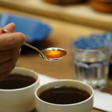 伴鹿精品咖啡 DeerFriend Café