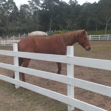 VilaVilla魔法莊園