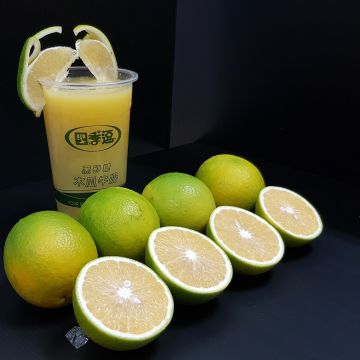 四季逗（小港店）