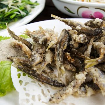 二尖山休閒茶園