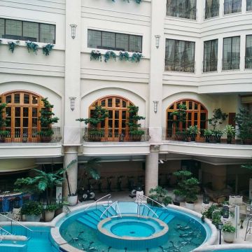 天鼎塔吉蒸煮鍋專門店（台北大安店）