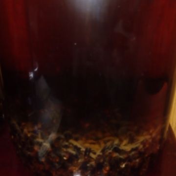 吉祥園鱉王料理