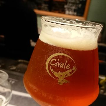 Bären Biergelden熊吧