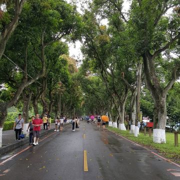蜜蜂故事館 HONEY MUSEUM（魚池店）