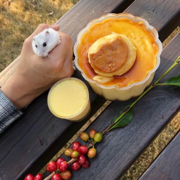 鴨母寮阿婆布丁 鴨母寮市場 弘記美食店