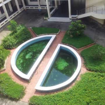 肯特越式美食 Cantho