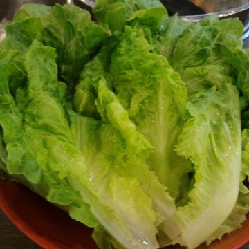 長疆羊肉爐 桃園總店