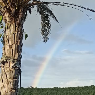 河岸咖啡 Riverine Cafe