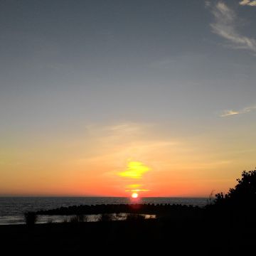 千味魚翅自助火鍋城