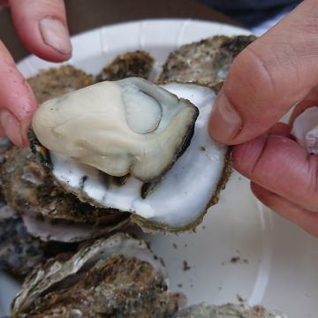 青蚵嫂布袋烤鮮蚵