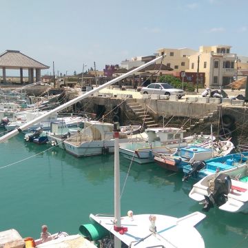 海龍海產加工廠