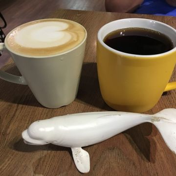 動物園野餐咖啡 zoo cafe